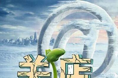 為何有的實體業會面臨倒閉？2019年實體業如何發展？以房地產開發為例