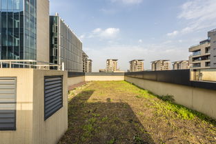 上海虹橋富力中心 全方位展示配套實景、樣板間與物業服務